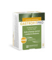 GASTROFIT PRO 60cap.