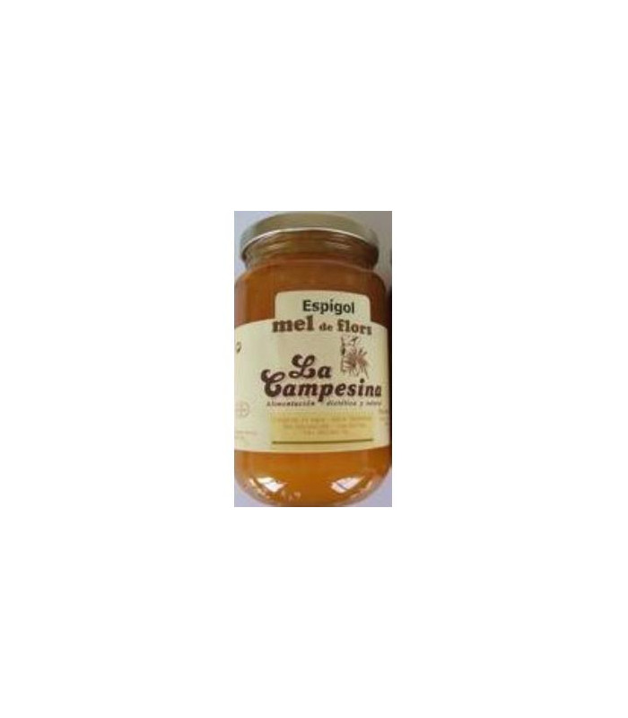 MIEL DE ESPLIEGO 500gr.