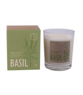 VELA VASO BOTVASB basil 7,5x9cm 1ud