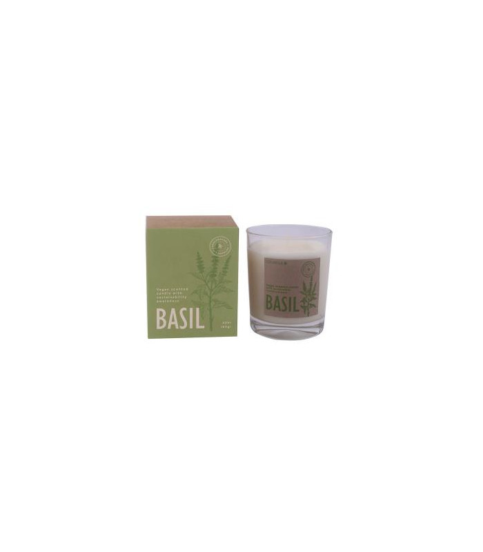 VELA VASO BOTVASB basil 7,5x9cm 1ud