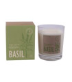 VELA VASO BOTVASB basil 7,5x9cm 1ud