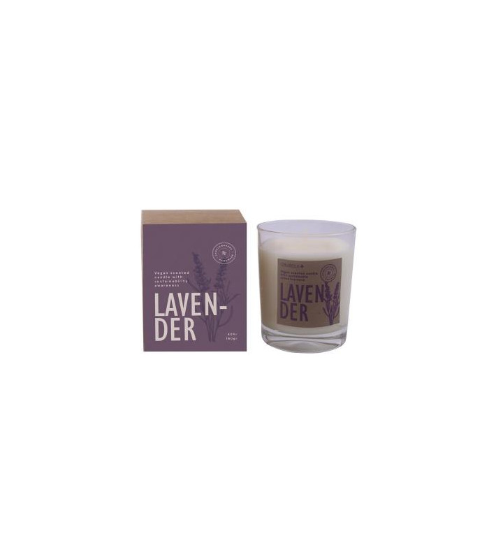 VELA VASO BOTVASL lavanda 7,5x9cm 1ud