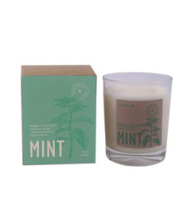 VELA VASO BOTVASM mint menta 7,5x9cm 1ud