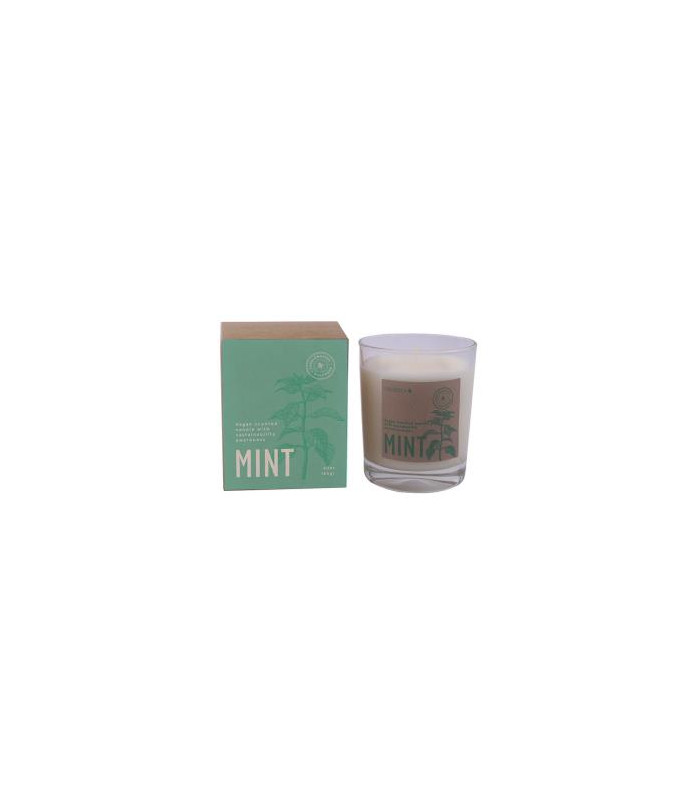VELA VASO BOTVASM mint menta 7,5x9cm 1ud