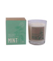 VELA VASO BOTVASM mint menta 7,5x9cm 1ud