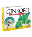 GINKORO 90comp