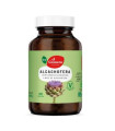 ALCACHOFERA 120cap. BIO