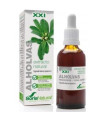 EXT. ALHOLVAS XXI 50ml. s/al