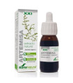 EXT. ARTEMISA XXI 50ml. s/al