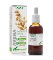 EXT. AVENA XXI  50ml. s/al