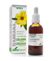 EXT. DAMIANA XXI 50ml. s/al