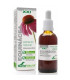 EXT. ECHINACEA XXI 50ml. s/al
