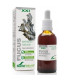 EXT. FUCUS XXI 50ml. s/al