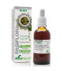 EXT. PASIFLORA XXI 50ml. s/al