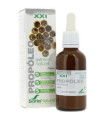 EXT. PROPOLEO XXI 50ml. s/al