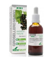 EXT. GROSELLERO NEGRO XXI 50ml. s/al
