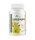 ACEITE DE ONAGRA COLESTAGRA 250perlas