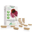 CAP.S 16 ECHINACEA XXI 30cap.