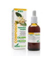 COMPOSOR 03 hepavesical complex XXI 50ml.