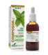 COMPOSOR 13 oxiur complex-lombrisor XXI 50ml.