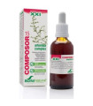 COMPOSOR 15 artemisa complex XXI 50ml.