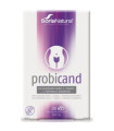 PROBICAND 20cap.