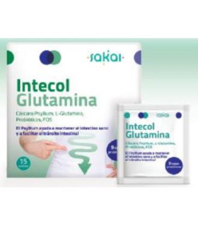 INTECOL GLUTAMINA 15sbrs.