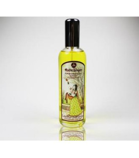 AMBIENTADOR CANELA NARANJA  100ml.