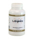L-ARGININA 500mg. 120cap.