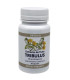 TRIBULUS 500mg 60cap.