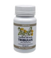 TRIBULUS 500mg 60cap.