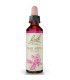 FLORES BACH CRAB APPLE manzano silvestre 20ml.