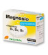 VALLESOL MAGNESIO+B EFERVESCENTE 24comp.