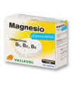 VALLESOL MAGNESIO+B EFERVESCENTE 24comp.