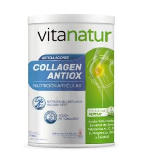 VITANATUR COLLAGEN ANTIOX 360gr.