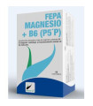 FEPA-MAGNESIO + B6 60comp.