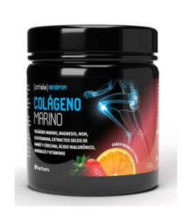 ARTISIX COLAGENO MARINO 300 gr