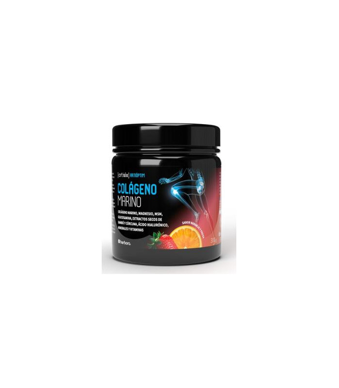 ARTISIX COLAGENO MARINO 300 gr