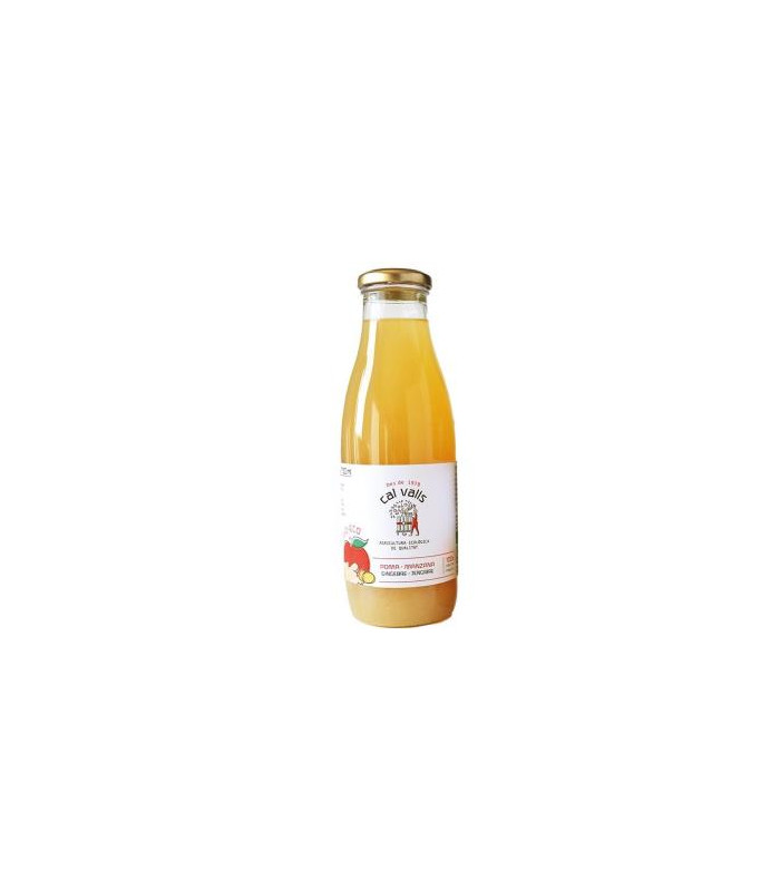 ZUMO DE MANZANA con jengibre 750 ml ECO