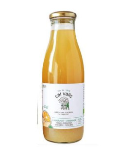 LIMONADA CON MANZANA-JENGIBRE sin azucar añadido 750 ml ECO