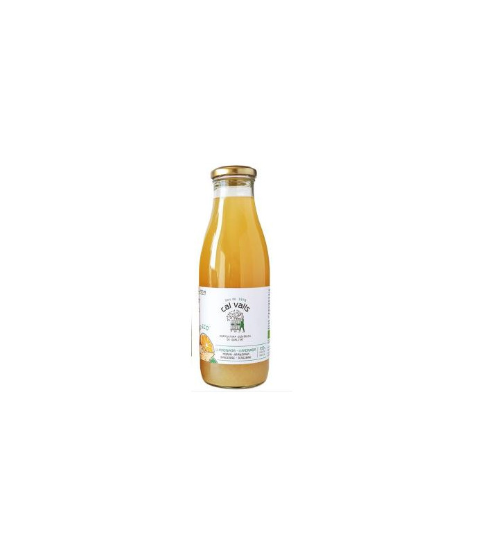 LIMONADA CON MANZANA-JENGIBRE sin azucar añadido 750 ml ECO