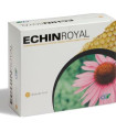 ECHIN ROYAL 20amp.