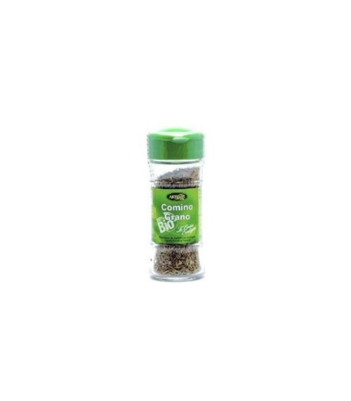 COMINO en grano especia 20gr. BIO