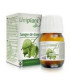 UNIPLANT DRAGO (sangre de drago) 30ml.