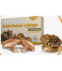 REISHI + MAITAKE + SHIITAKE 30cap.
