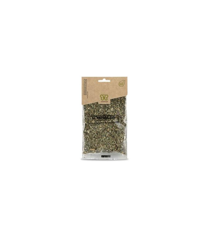 ECHINACEA planta 45gr. ECO