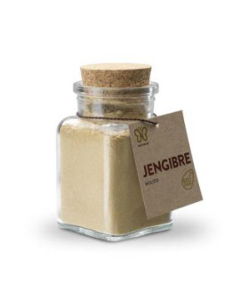JENGIBRE molido 60gr. ECO