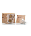 POLEO infusion 10piramides. ECO
