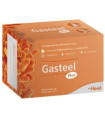GASTEEL PLUS 30sticks