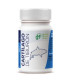 CARTILAGO DE TIBURON 500mg. 60cap.